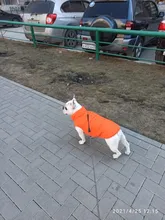 Abrigo de invierno para mascotas, ropa cálida para perros pequeños, abrigo de Navidad para perros grandes, chihuahua