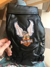 Jacket Dog-Coat Puppy Eagle-Pattern Waterproof Outdoor Outerwear Pet Small Soft Fashion