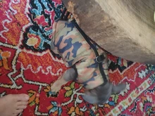 Coat Vest Jacket Puppy Outfit Pet-Dog Yorkie Warm Chihuahua Winter for Windproof Padded