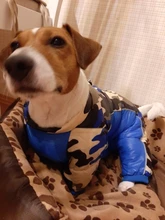 Winter Pet Dog Coat Jacket Thicken Warm Clothes For Dogs Waterproof Reflective Puppy