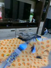 Prism-Lamp Chandelier-Decor Cut-Glass-Pendant CRYSTAL Diy Suncatcher Faceted Diamond