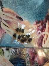 10pcs DC 30V 1A Black On Off Mini Push Button Switch for Electric Torch