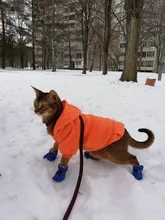 Ropa cálida para mascotas y gatos, ropa con capucha para otoño e invierno, abrigo para gatos y cachorros, 8Y45