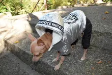 Jumpsuit Pet-Costumes Cotton-Padded Silver-Color Dogs Waterproof Winter Fashion for Hoodie