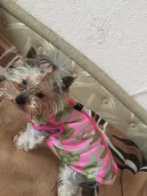 Puppy Outfit Vest Coat Dog-Jacket Pets Padded-Chihuahua Apparel-20 Small-Dogs Warm Winter