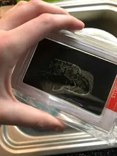 Kit de impresión a mano no tóxico para el cuidado del bebé, 6 colores, Impresión de huella, recuerdos para bebés recién nacidos, cojín de tinta para foto