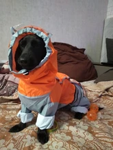 Jumpsuit Raincoat Pet-Cloak Teddy Waterproof-Jacket HOOPET Dogs Chihuahua for Small Cat