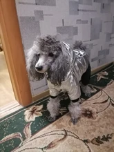 Jumpsuit Pet-Costumes Cotton-Padded Silver-Color Dogs Waterproof Winter Fashion for Hoodie