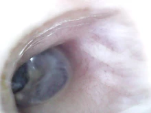 Mini endoscopio de limpieza de orejas 3 en 1, 5,5mm, tipo C, USB, HD, Visual, para Android, PC