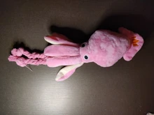 Calamar bonito y pequeño sonido de juguete de perro BB, mascota de peluche, cuerda de perrito, mordedores de juguete con sonido rosa para gato