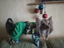 Pets-Clippers Hair-Trimmer Foot-Cutter Pet-Grooming-Kit Nail-Grinder Baorun Rechargeable