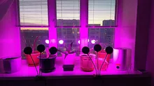 Grow-Light Lamps Timer Flowers Desktop-Clip LED Phyto Full-Spectrum For Plants DC5V USB