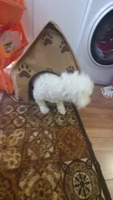 Tent Dog-House Small Dog-Accessory Cat-Kennel Foldable Travel Pet-Bed Footprint Delicate-Design