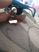 Collar de seguridad para gato, Collar de gatito personalizado de liberación rápida, Collar para gatos con campana para cachorro gatito