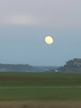 1 pieza / 3 piezas de pinza adaptadora de alta precisión 8mm 6,35mm 6mm mandril de pinza grabado máquina de recorte enrutador accesorios de cortador de fresado