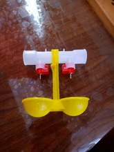 Chicken-Tools Drinking-Cup Water-Bowls Quail Pheasant 40