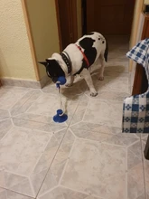Juguetes para mascotas con copa de succión perro juguete con bola goma termoplástica para limpieza de perro juguetes para perros pequeños, perro de juguete
