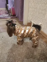 Jacket Clothing Puppy Small Dogs Waterproof Winter Overalls Pet-Coat Dog-Jumpsuit Fleece