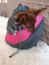 Bonito y mejor transporte de perros, bolsa de viaje al aire libre, bolso de hombro de malla, bandolera de viaje para mascotas, portador de cachorros y gatos