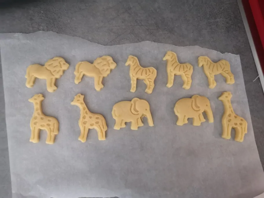 Animal Shaped Cookie Molds photo review