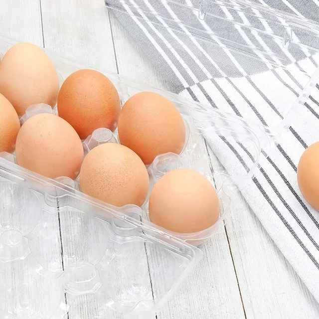 5 Packs Plastic Egg Cartons Bulk Empty Clear Egg Tray Egg Carton Holder for  Chicken Farm, Refrigerator Storage, Family Pasture - AliExpress