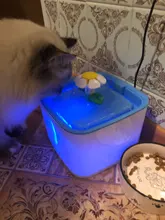 Drinking-Bowl Auto-Feeder Automatic Pet-Products-Supplies Water-Dispenser Water-Fountain