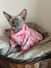 Ropa de gato para gatos, disfraz de gato de invierno, Sudadera con capucha, suéter, ropa de cachorro mascota, productos para gatos