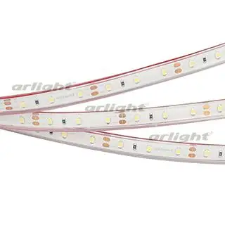 013529 Лента RTW 2-5000PGS 12V White(3528, 300 LED, LUX) ARLIGHT