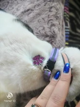 Cats-Bells-Collars Accessories Buckles Pattern-Supplies Reflective Adjustable Fashion