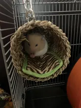 Toy Cage Ladder Hamster Chew-Toys Tunnel Sugar-Glider Playground Rat Climbing Habitat