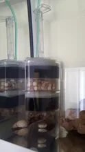 FILTER Aquarium-Accessories Pneumatic-Filtration Internal-Corner Air-Pump Efficient