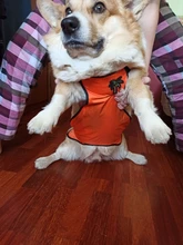 Proteger Corgi barriga delantal impermeable ropa de perro mascota pequeña pierna corta pierna perros mascotas ropa de Bulldog Francés traje para Pug S-L