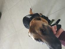 Leash-Set Pet-Harness Dog-Vest German Shepherd Dogs-Training Small Durable Tactical And