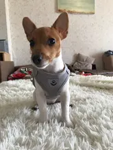 Arnés para perro o gato reflectante para Chihuahua Pug, chaleco de mascota de nailon transpirable, pequeño y mediano, correa de plomo para caminar, Yorkie