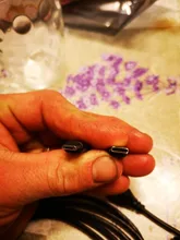 Cámara endoscópica Flexible para teléfono Android 7mm 5,5mm IP67 Cable de lente Micro USB C Cámara industrial endoscopio PC 6LED ajustable