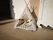 Jaula lavable para mascotas, tienda de campaña para perros, gatos, animales pequeños, tienda para mascotas, jaula transpirable lavable