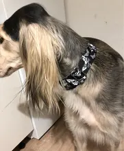 Personalized Fabric Super Strong Durable Martingale Collars for Dogs Heavy Duty Duty