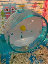 Oso dorado para mascotas, juguete deportivo para mascotas, jaula con ruedas, accesorios, disco de competición, rueda giratoria silenciosa para trotar, WJ901