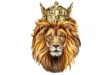 Limpiador ultrasónico de baño, Frecuencia dual de 28/40KHZ, PS-40AD, 220v/110v, 240W, 10L, envío rápido, para piezas de hardware