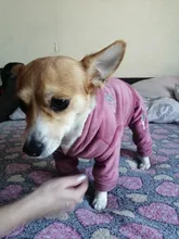 Coat Jumpsuit Clothing Puppy-Fleece Hoodie Apparel Pet-Dog Winter New Warm Velvet