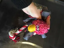 Encantador suministro de mascotas lindo Papa pato perro de peluche de juguete con cuerda de juguetes para perro nuevo