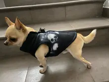 Ropa de invierno para mascotas, atuendo con chaleco cálido para perros pequeños, abrigo para perro, Chihuahua acolchado, a prueba de viento, 20