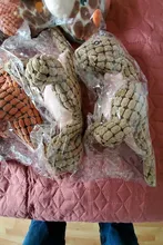 Pet-Toys Pets-Supplies Dinosaur Dogs Lion Plush Puppy Big Squeaky Dog-Accessories Animals-Shape