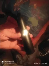 Lima de uñas para mascotas recargable, cortauñas para perros, sin dolor, con USB, eléctrica, para gatos, cortaúñas, lima de aseo, envío directo