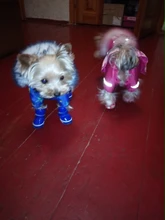 4 unids/set zapatos para perros de invierno de perro caliente botas de nieve zapatos de cuero de la PU para perros pequeños perros Chihuahua impermeable antideslizante cachorro para mascotas zapatos