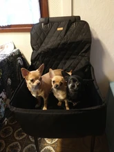 Funda de asiento de nailon 900D impermeable para mascotas, tapete de transporte al aire libre, accesorios de viaje para coche, bolsa para perro