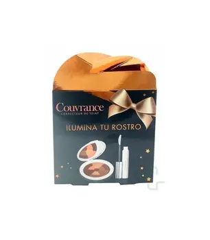 

Mosaic Christmas case