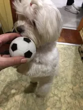 Fashion Rubber Squeak Toys for Dog Screaming Chicken Chew Bone Slipper Squeaky Ball Dog