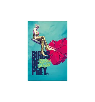

POSTER BIRDS OF PREY BROKEN HEART