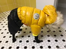 Ropa de invierno para mascotas, chaqueta cálida gruesa para perros pequeños y grandes, abrigo impermeable para cachorros, Chihuahua, Pug, Bulldog francés